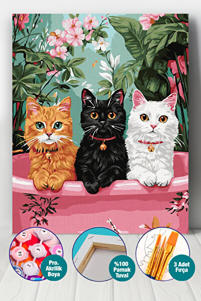 Picasso World Hobby Art Sayılarla Boyama Numaralı Tuval Seti Fırça Boya Dahil...