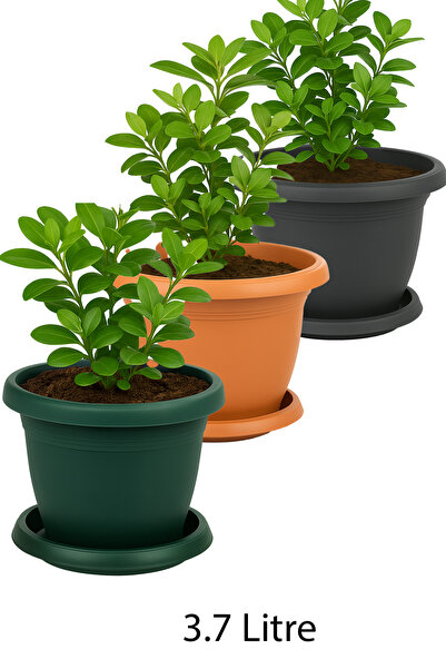 TEMMUZ HOME No 5 3 Adet 3.7 Litre Yuvarlak Orta Boy Mat Plastik Tabaklı Saksı