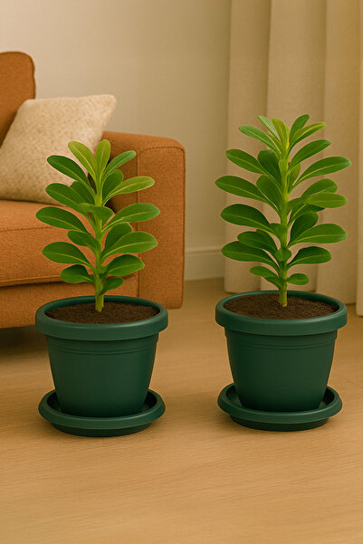No 6 2 Pieces 5 Liter Plate Matte Plastic Medium Round Flower Pot and Plant Pot