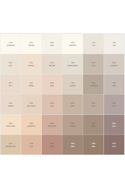 Dyo Dinamik Mat Silikonlu Silinebilir Iç Cephe Duvar Boyası