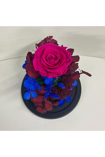 velve Trandafir Fucsia Criogenat in cupola de sticla cu hortensii si licheni,...