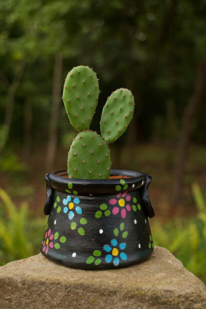 Comlekevi toprak saksı Kazan görünümlü el yapımı toprak saksı