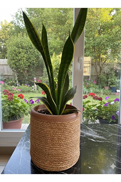 EYLCOTTON Hasır Saksılık Yuvarlak çok amaçlı Sepet Saksılık çap 25 boy 25