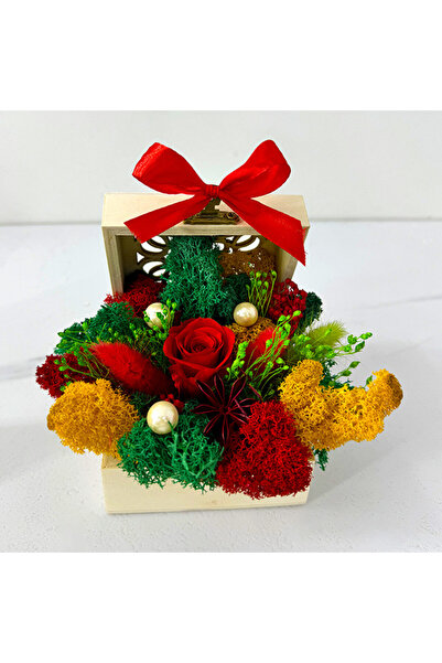 velve Цветна аранжировка "Goodness", криогенна роза, лагурус, стабилизирани л...