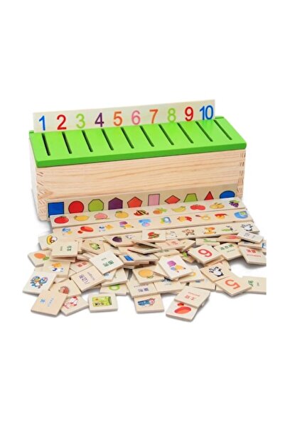 Picodino Montessori Sorting Box with 90 Pieces, Bilingual (Romanian/English),