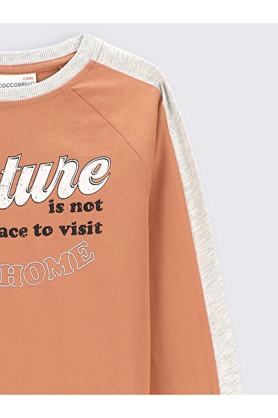 Coccodrillo Μπλούζα για αγόρι ZC2143102FOK Καφέ