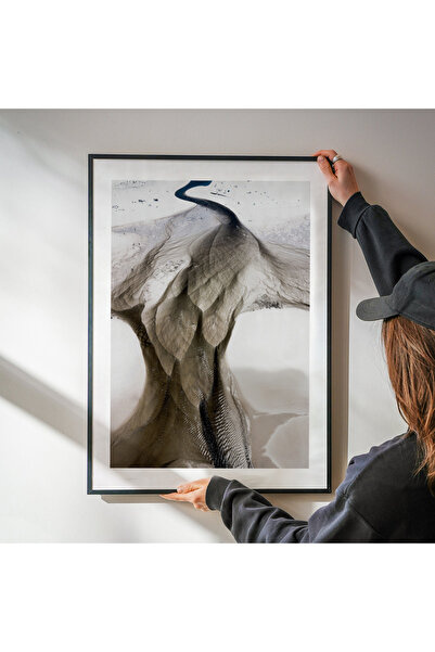 Thetic Majestic Bird - Modern Aesthetic Luxury Premium Unframed Poster!