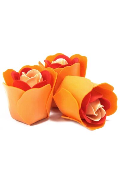 XTERRA SET 3 BOBOCI DE TRANDAFIRI NUANȚE PIERSICĂ ÎN CUTIE CADOU | FLORI DIN ...