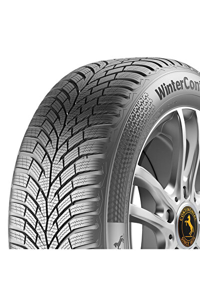 Continental 205/55R16 91T TS870 2025 KIŞLIK