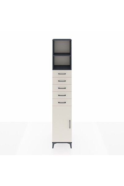 Dienni Hyperion Dolap 3 Raflı 5 Çekmeceli Tek Kapaklı 44x44x243 Antrasit-Aytaşı