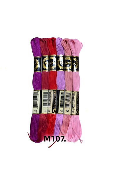 EleganTShoP Set de 6 fire de ață de brodat Airo Muline Etamine Coton