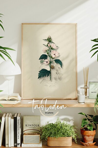 tablodea Tablou cu poster înrămat vintage cu floare de marshmallow, pictură f...