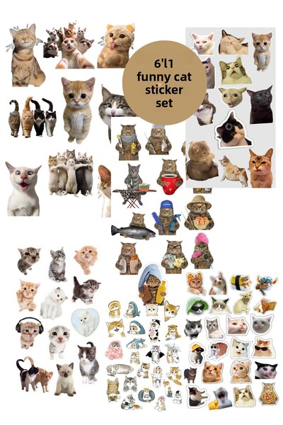 elviano مجموعة ملصقات مكونة من 6 قطع مناسبة لدفتر الملاحظات بتصميم قطة مضحكة