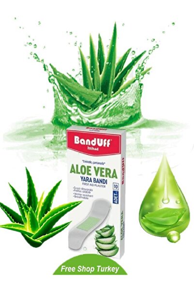 SINGLE SWORD Aloe Vera Yara Bandı