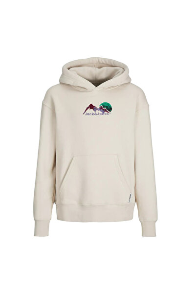 Jack & Jones Erkek Çocuk Taş Sweatshırt JORSILVERLAKE SWEAT HOOD JNR