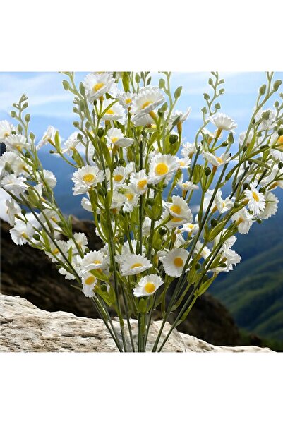 Lilac Home Yapay Yoğun Kır Çiçeği (Papatya) 50 Cm Beyaz