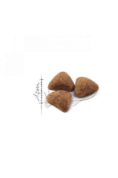 Royal Canin Indoor27 Yetişkin Kuru Kedi Maması 2kg
