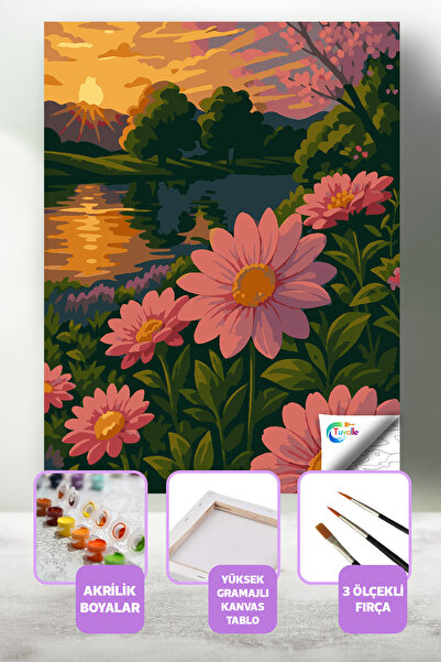 Tuvalle Pembe Akşamüstü Sayılarla Boyama Seti, Hobi Seti, 40X50 Tablo, Fırça ...