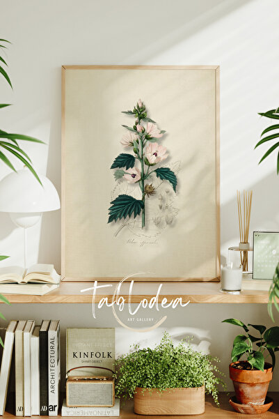 tablodea Cvet marshmallowa, vintage poster s uokvirenim slikama, moderna deko...