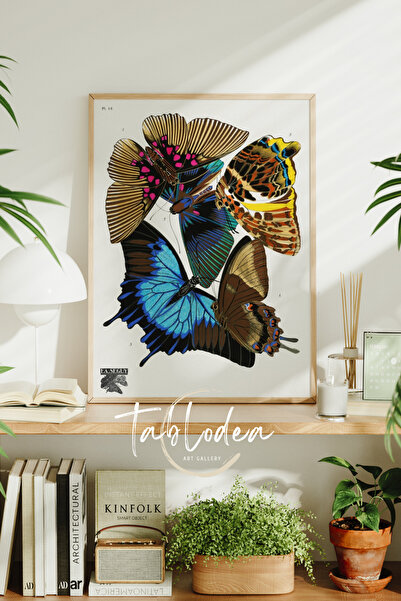 tablodea Tablou minimalist înrămat cu poster, pictură modernă cu fluturi, pic...