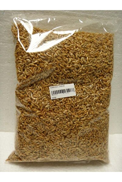 Pelagos Kurutulmuş Karides 50 gr Skt : 01/2025 Kaplumbağa ve Balık yemi