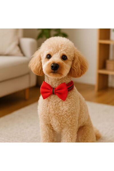 MBS Pet Stylist ربطة عنق قابلة للتعديل للقطط والكلاب من MS Pet Design مقاس L