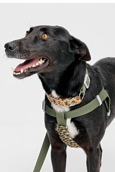 IG Design 100% Handmade Adjustable Neck Collar