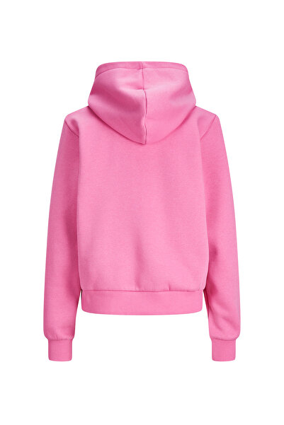 JJXX Kapüşon Yaka Baskılı Pembe Kadın Sweatshırt JXNOLA RLX LS SHORT HOOD SWT