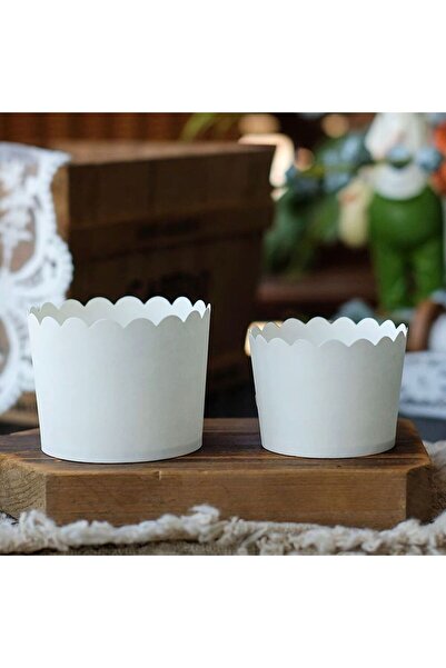 Choice أكواب خبز بيضاء بالكامل، 50 قطعة، بطانات كب كيك، أكواب كيك، أكواب حلوى...