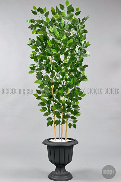 BİÇİÇEK Yapay Benjamin Ağacı 170cm Yoğun Yapraklı Bambu Gövdeli Antrasit Renk Nergis Saksıda