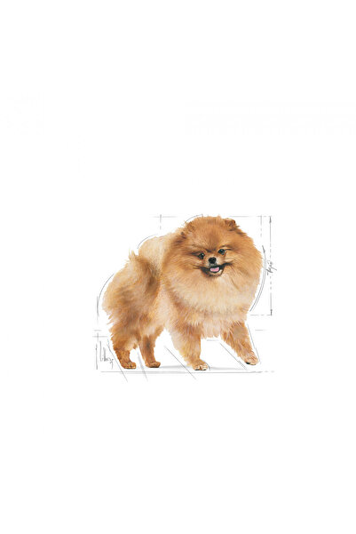 Royal Canin Pomeranian Kuru Köpek Maması 3kg