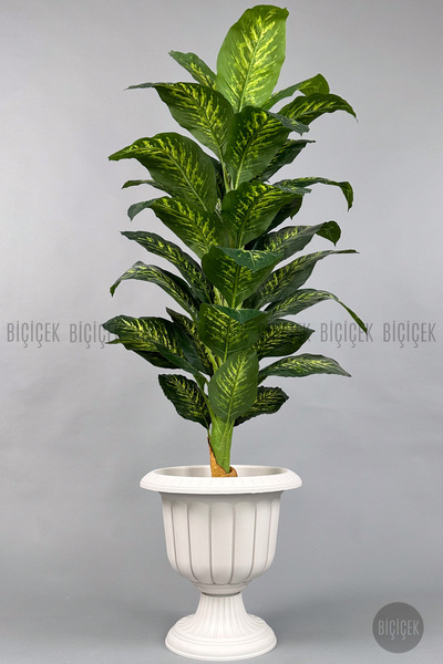 BİÇİÇEK Yapay Ağaç Difenbahya Bambu Gövdeli 200cm Büyük Boy Kırık Beyaz Renk ...