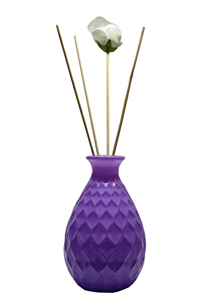 wellLine 2 adet boş mor Şişe Esas Bambu Çubuklu Oda Kokusu için 100 ml 8 adet...