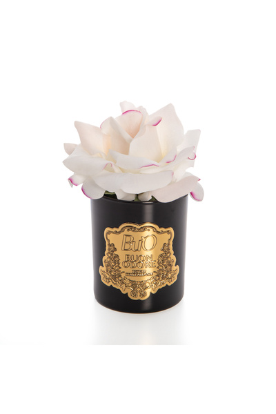 BUON ODORE Siyah Cam Silver Allikli | Kaliteli ve Uzun Süre Kalıcı Koku