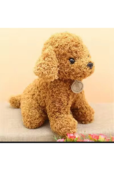 charmerprincesses Sevimli Köpek Kaniş Toy Poodle Peluş Oyuncak 30 Cm 200 gram Puppy Gerçekçi Peluş Köpek
