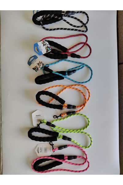 MİANNA KÖPEK TASMASI