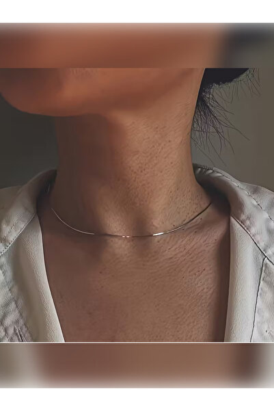 PURE BERRY قلادة فضية اللون من الفولاذ للجنسين من سلسلة سنيك رفيعة