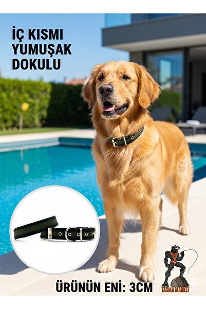Tasma Market Siyah Haki Yumuşak Dokulu Kolon Köpek Tasması