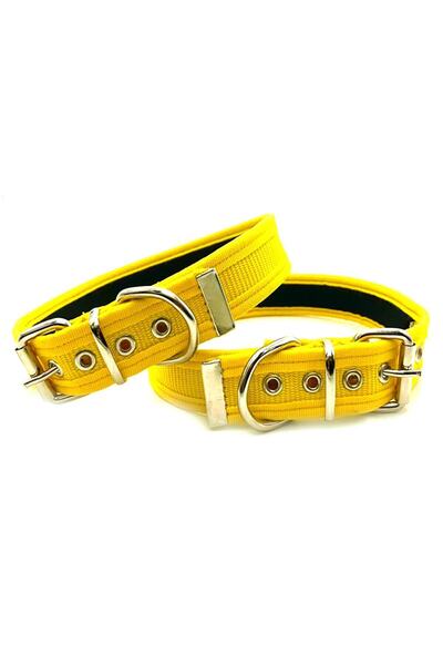 Tasma Market Sarı Içi Yumuşak Dokulu Kolon Köpek Tasması