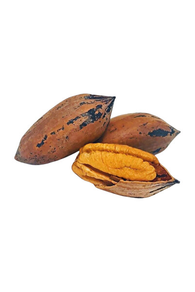 PEYNİRCİM COŞKUN YÖRESEL ÜRÜNLER Kabuklu Pikan ( Pekan ) Cevizi Yeni Maksül 500 gr