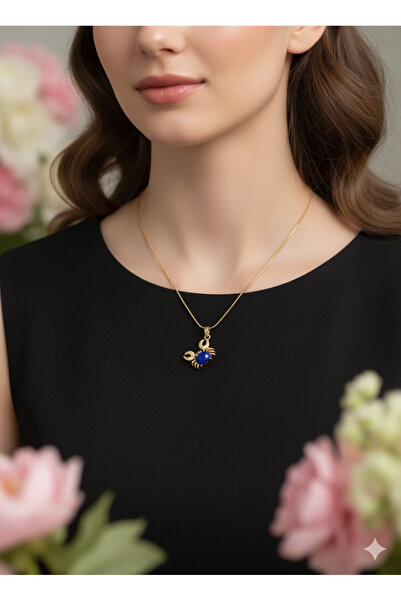 ısıkkonya قلادة أنيقة على شكل سرطان البحر من الفولاذ المقاوم للصدأ للاستخدام ...