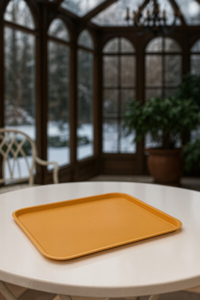 Veliday PP SERVİS TEPSİSİ 37*48 cm Tepsi-Cafe Hotel Pastane Fastfood Restoranları ve Yemekhaneler İçin Tepsi