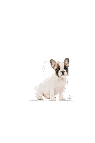 Royal Canin Fransız Bulldog Yavru Köpek Maması 3kg