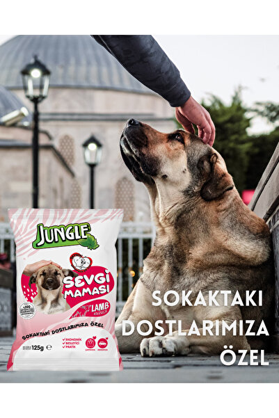 Jungle KÖPEK SEVGİ MAMASI 125 GR