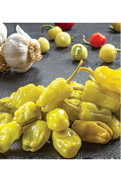 TURŞU DURAĞI Üç Burun Biber Turşusu 1 KG