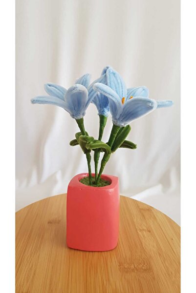 Badem Hediyecilik Zambak Saksı Çiçeği