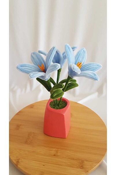 Badem Hediyecilik Zambak Saksı Çiçeği