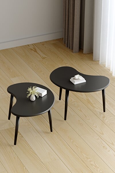 Harmonia Studio Dekoratif Modern Siyah Orta Sehpa (Tekli)