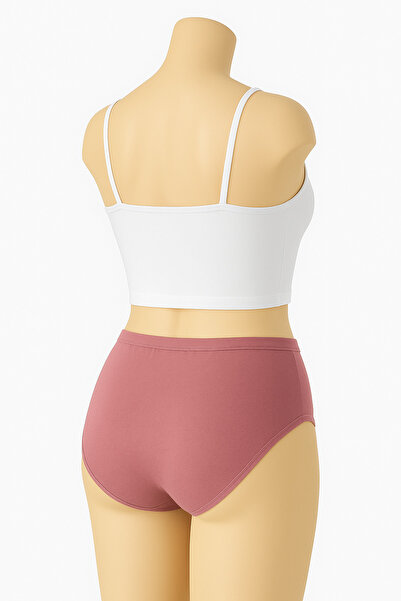 HS İÇ GİYİM Pack of 3 Women's High Waist Gathering Bato Panties – Dusty Rose, Ultra Soft Cotton Fabric