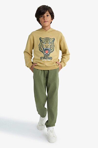 DeFacto Boy's Hooded Printed Sweatshirt F2859A825Wn